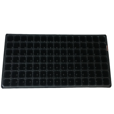 55mm Height Hole 1mm HIPS Plastic Seedling Tray 32cell Trees Plant Seed Tray