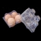 15 แพ็คทิ้ง PET ถาดไข่พลาสติกใส 71 มม. ที่วางถาดไข่สี่เหลี่ยม