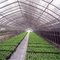 300gsm รีไซเคิลได้ 98% เนอสเซอรี่ Shade Net Sunblock Garden Netting Mesh