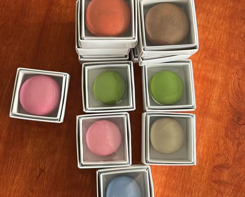 Eco-Friendly Macaron Plastic Tray with Custom Printing and Transparent Design for Food Packaging