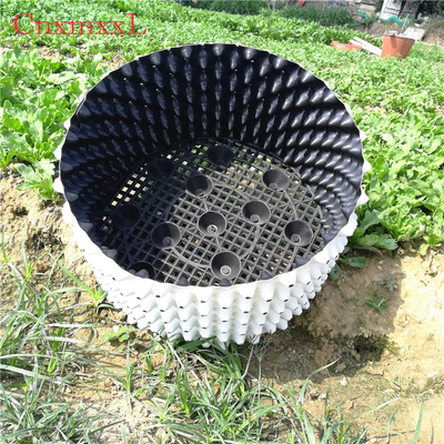 การเจริญเติบโตของรากสีขาว 0.9 มม. HDPE พลาสติก  เรือนกระจก Air Pruning Buckets