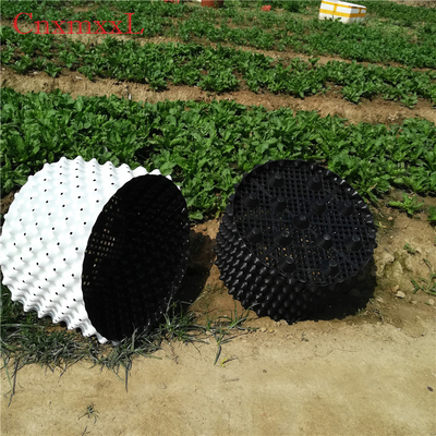 การเจริญเติบโตของรากสีขาว 0.9 มม. HDPE พลาสติก  เรือนกระจก Air Pruning Buckets