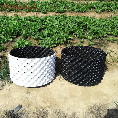 การเจริญเติบโตของรากสีขาว 0.9 มม. HDPE พลาสติก  เรือนกระจก Air Pruning Buckets