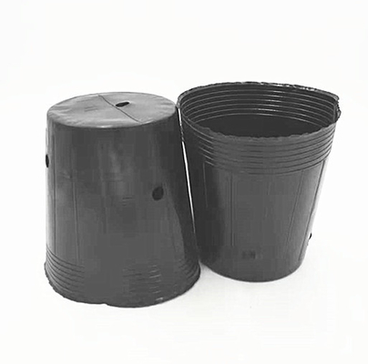 HDPE พลาสติก หม้อเลี้ยง เมล็ดกระเทียม ปลูกหม้อดําสําหรับโรงเรือนกระจก