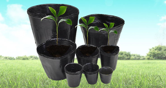 ผงพืชพลาสติกอ่อน Hydroponic ผงน้ําหมึก ผงน้ําอ่อนน้ําหนัก