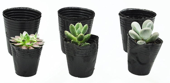 ผงพืชพลาสติกอ่อน Hydroponic ผงน้ําหมึก ผงน้ําอ่อนน้ําหนัก