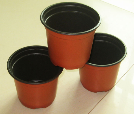 ขายร้อนกล่องกลม กล่องดอกไม้สด Hydroponic นุ่ม ทนต่อการแก่