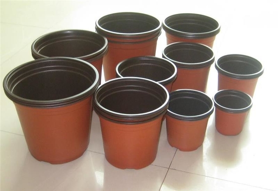 ขายร้อนกล่องกลม กล่องดอกไม้สด Hydroponic นุ่ม ทนต่อการแก่