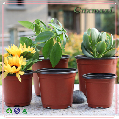 ผักพาราพลาสติก 2 สี สีดํา สีเบาและอ่อน