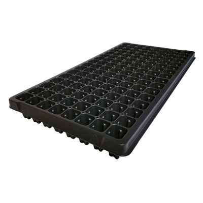 Plastic seedling trays in sydney seed starter tray For Pepper & Tomatoes seeding