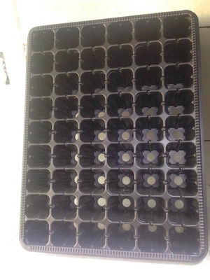Plastic seedling trays in sydney seed starter tray For Pepper & Tomatoes seeding