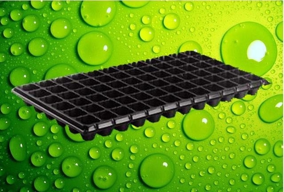 Plastic seedling trays in sydney seed starter tray For Pepper & Tomatoes seeding