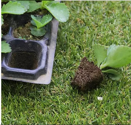 Germination tray for greenhouse vegetables nursery and growing & Nursery plant 32  cells tray