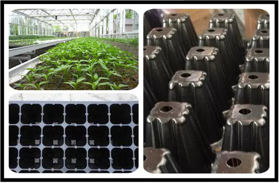 Germination tray for greenhouse vegetables nursery and growing & Nursery plant 32  cells tray