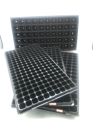 seedling tray  --cheap price  & high quality