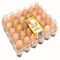 ที่วางไข่พลาสติกวางซ้อนกันได้ 9 ชิ้น 152mm Square Incubator ไข่ ถาดตั้ง