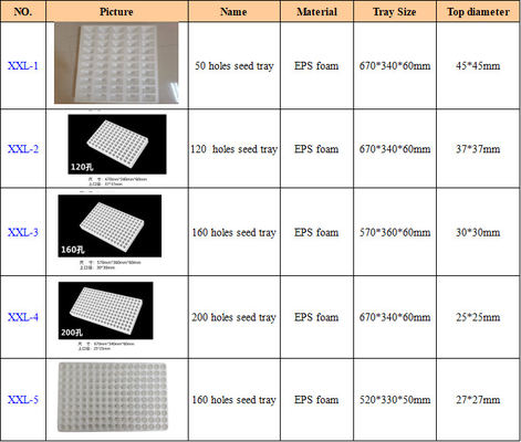 ธารก้อนของฟอง EPS สะพานธารก้อนของความละเอียด