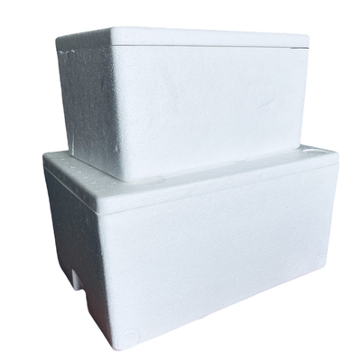 EPS Incubator Cold Chain Transport กล่องฟองที่กําหนดเอง