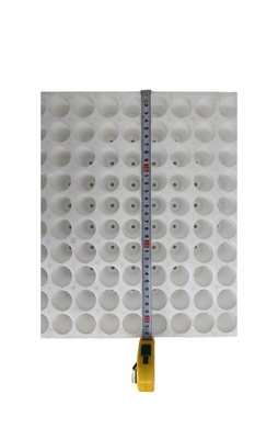 160 hole round EPS seedling tray foam seedling tray plant seedling cultivation tray ตู้ปลูกพืช