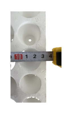 160 hole round EPS seedling tray foam seedling tray plant seedling cultivation tray ตู้ปลูกพืช