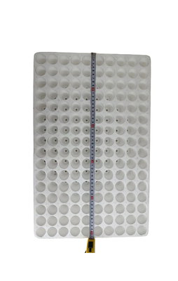 160 hole round EPS seedling tray foam seedling tray plant seedling cultivation tray ตู้ปลูกพืช