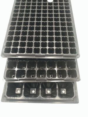 ตู้ปลาสติก 32 เซลล์หนา 2 มิลลิเมตร สําหรับต้นไม้ป่า - ทนต่อการแก่ตัวและทนทาน