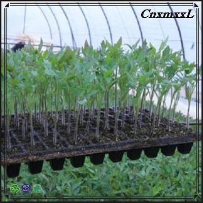 ตู้ปลูกพลาสติก 200 เซลล์ - หนา 2 มิลลิเมตร และทนทานกับการแก่ตัวสําหรับการใช้ในโรงเลี้ยง