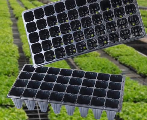 thickened seed tray,standard nursery tray,rigid plug tray,multiple cavity tray,uniform cell tray,flat seed starting tray,PS plastic seed tray,PVC nursery tray