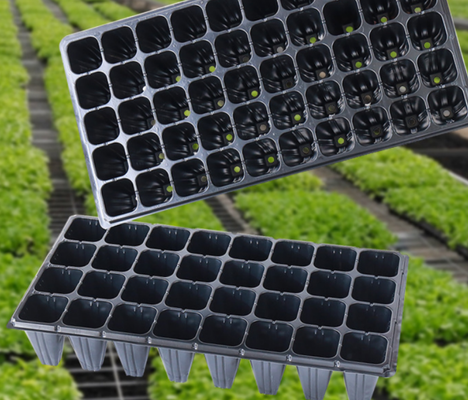 farm seedling tray,cell plug tray,multi‑cell seed tray,square cell seed tray,72 cell tray,