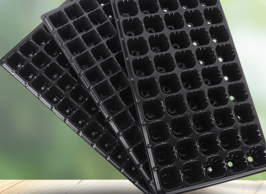 Wholesale rectangular multi-hole seedling trays for vegetables, succulents, and cuttings, thickened nursery trays