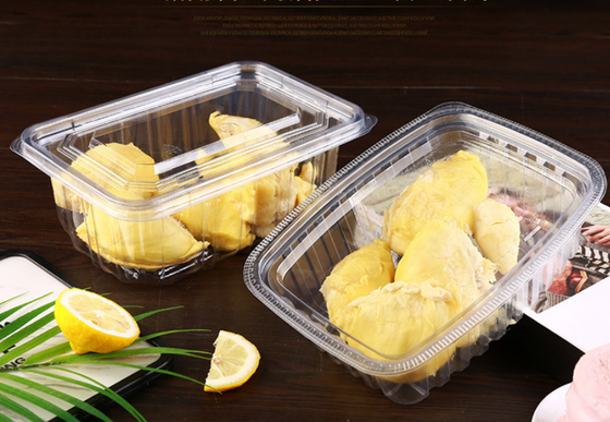 Customizable Recyclable Food Safe Macaron Packaging Box with Plastic Tray for Gift Display