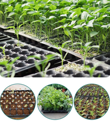 plant propagation tray,germination tray,seeding tray,cell seed tray,greenhouse tray,seed plug tray