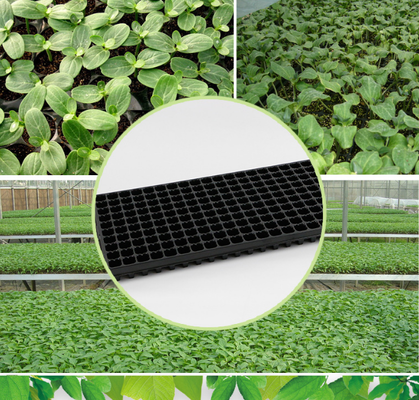 farm seedling tray,cell plug tray,multi‑cell seed tray,square cell seed tray,72 cell tray,