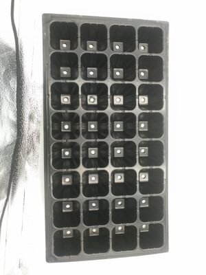 ตู้ปลาสติก 32 เซลล์หนา 2 มิลลิเมตร สําหรับต้นไม้ป่า - ทนต่อการแก่ตัวและทนทาน