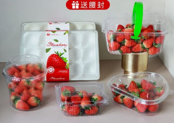 กล่องบรรจุภัณฑ์ผลไม้ PET รีไซเคิลได้ ปรับแต่งได้ พร้อมการซีลด้วยความร้อนสำหรับมะเขือเทศและผลผลิต