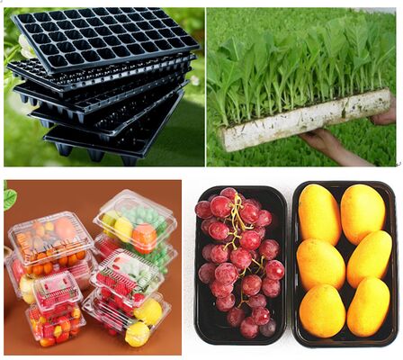 บรรจุภัณฑ์พลาสติก PET แบบสั่งทำพิเศษ รีไซเคิลได้ พร้อมการซีลด้วยความร้อนสำหรับผลิตผลสด